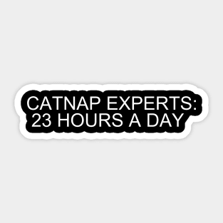 Catnap Masters: Embrace Zen-like Slumbers for 23 Blissful Hours! Sticker